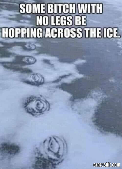 Iced Pussy