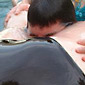 death by smothering fatass
